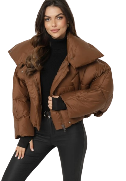 Down Jacket
